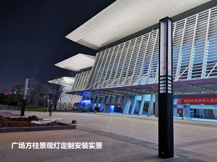 东莞市民服务中心广场中轴定制91香蕉在线观看安装实拍效果